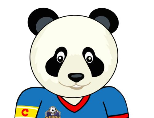 Chi image